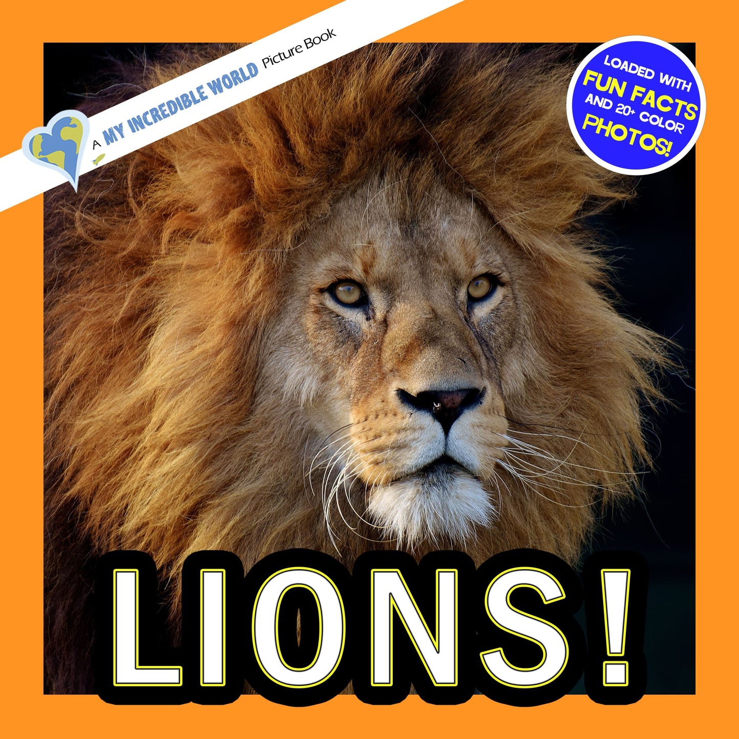 Lions! A My Incredible World Picture Book for Children