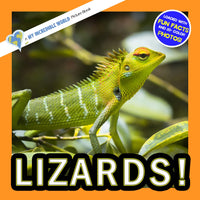 Lizards! A My Incredible World Picture Book for Children