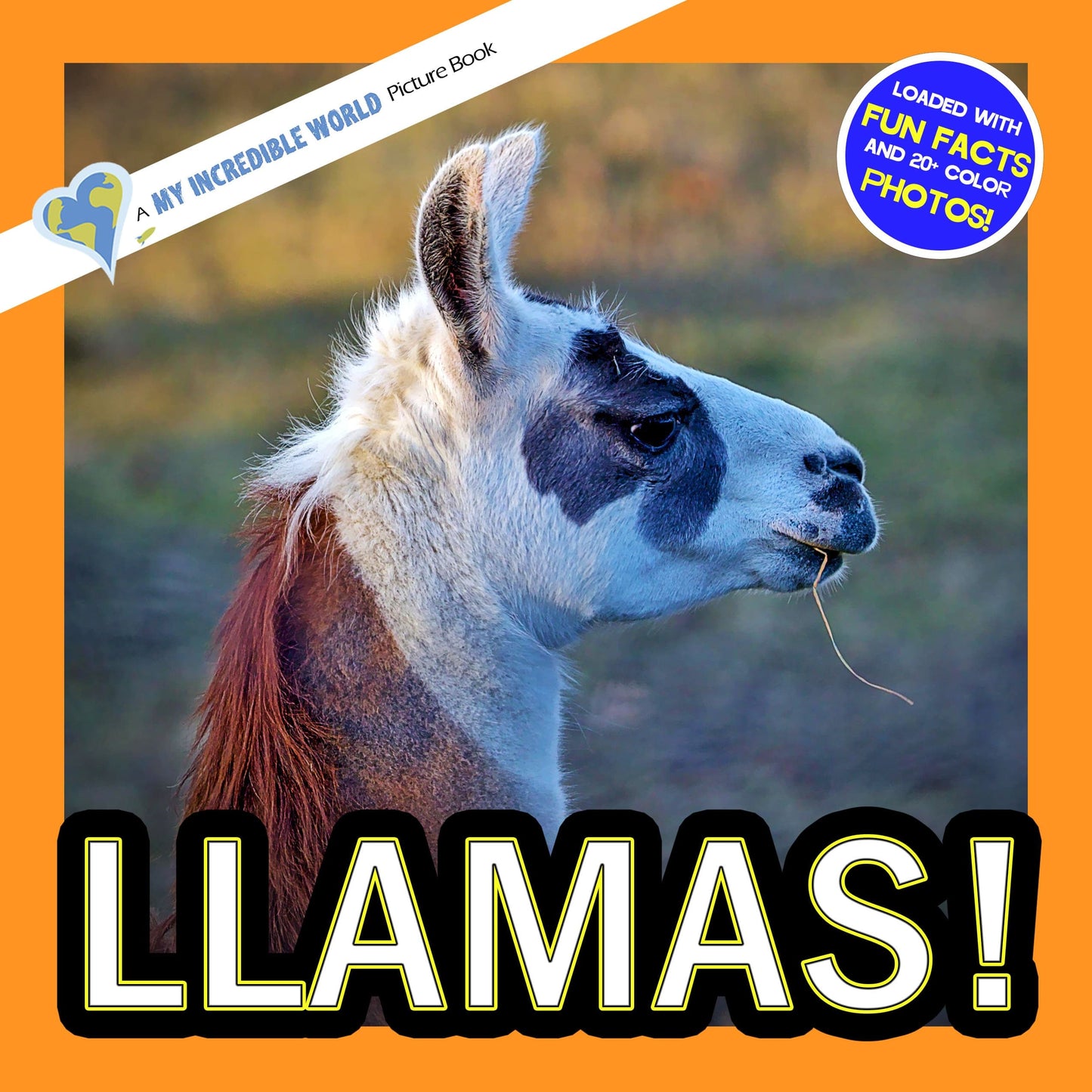 Llamas! A My Incredible World Picture Book for Children