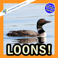 Loons! A My Incredible World Picture Book for Children