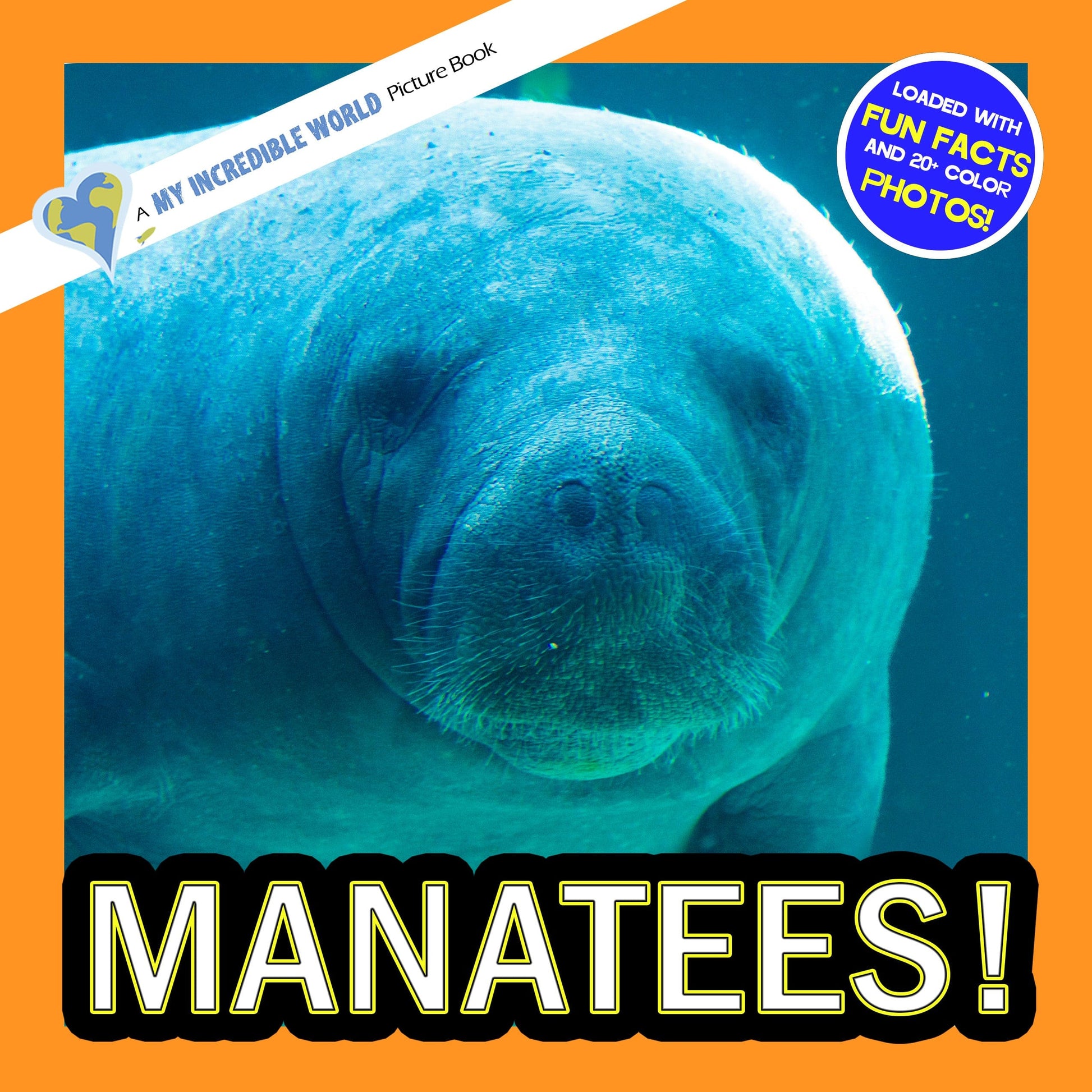 Manatees! A My Incredible World Picture Book for Children