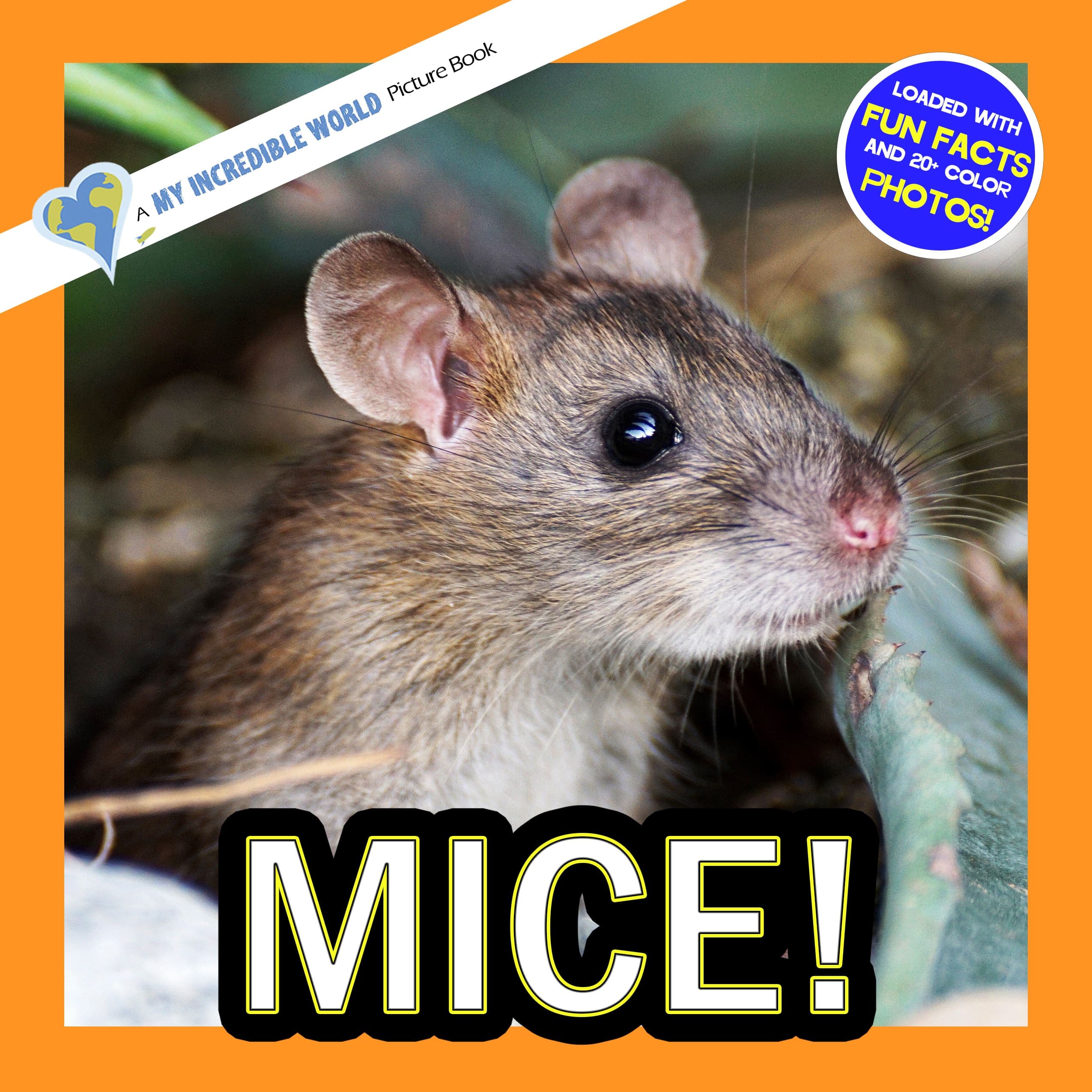 Mice! A My Incredible World Picture Book for Children