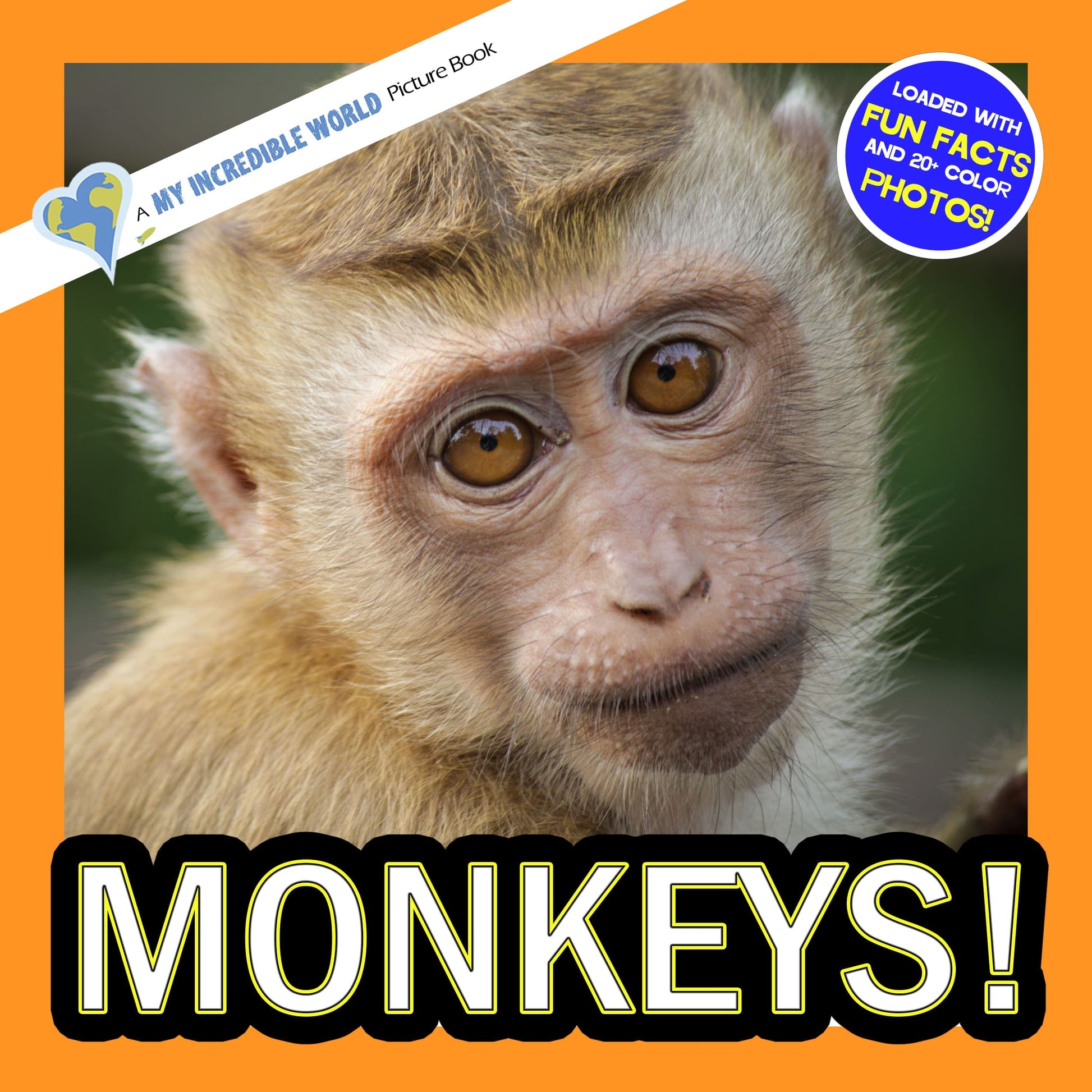 Monkeys! A My Incredible World Picture Book for Children