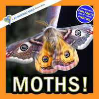 Moths! A My Incredible World Picture Book for Children