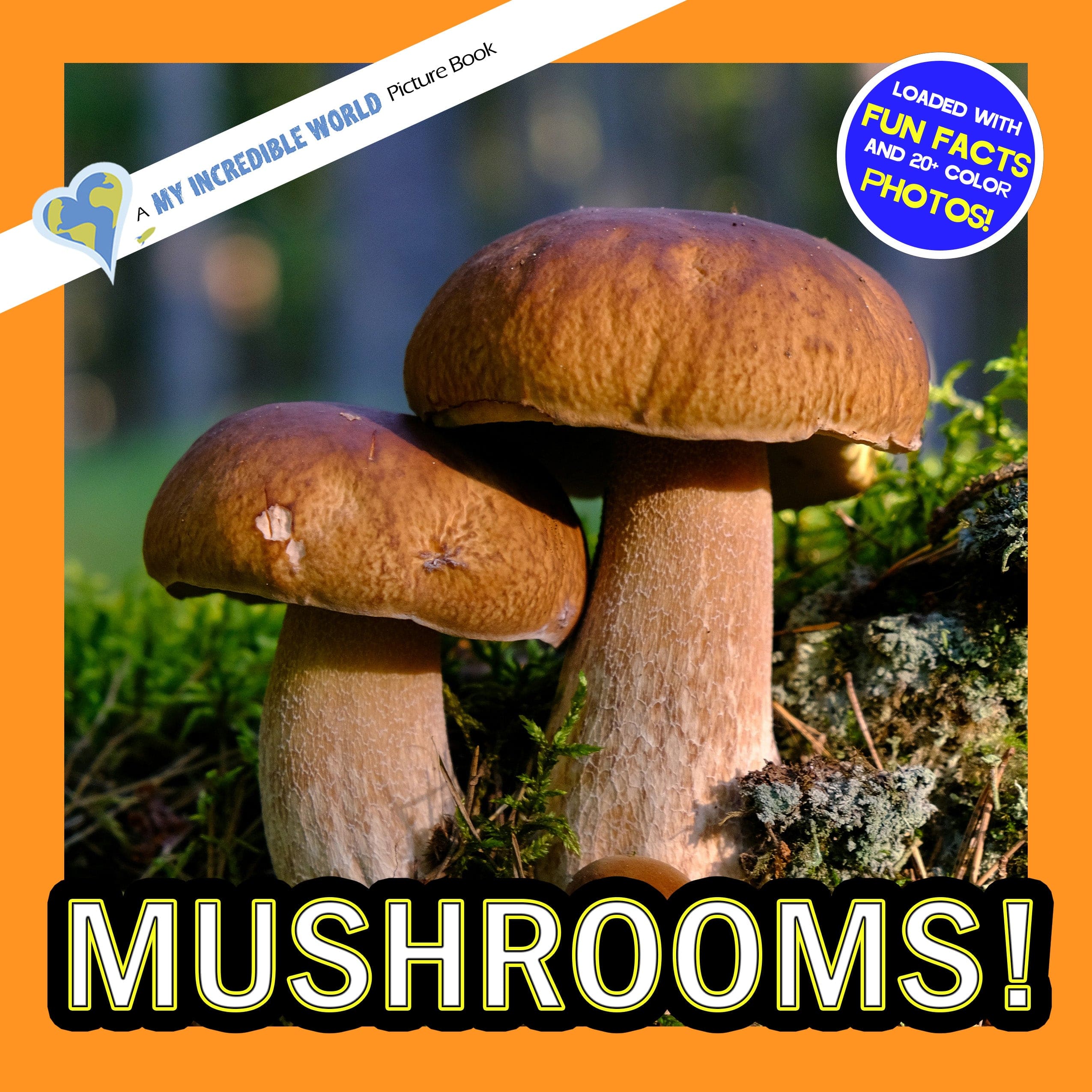 Mushrooms! A My Incredible World Picture Book for Children