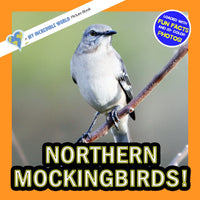 Northern Mockingbirds! A My Incredible World Picture Book for Children