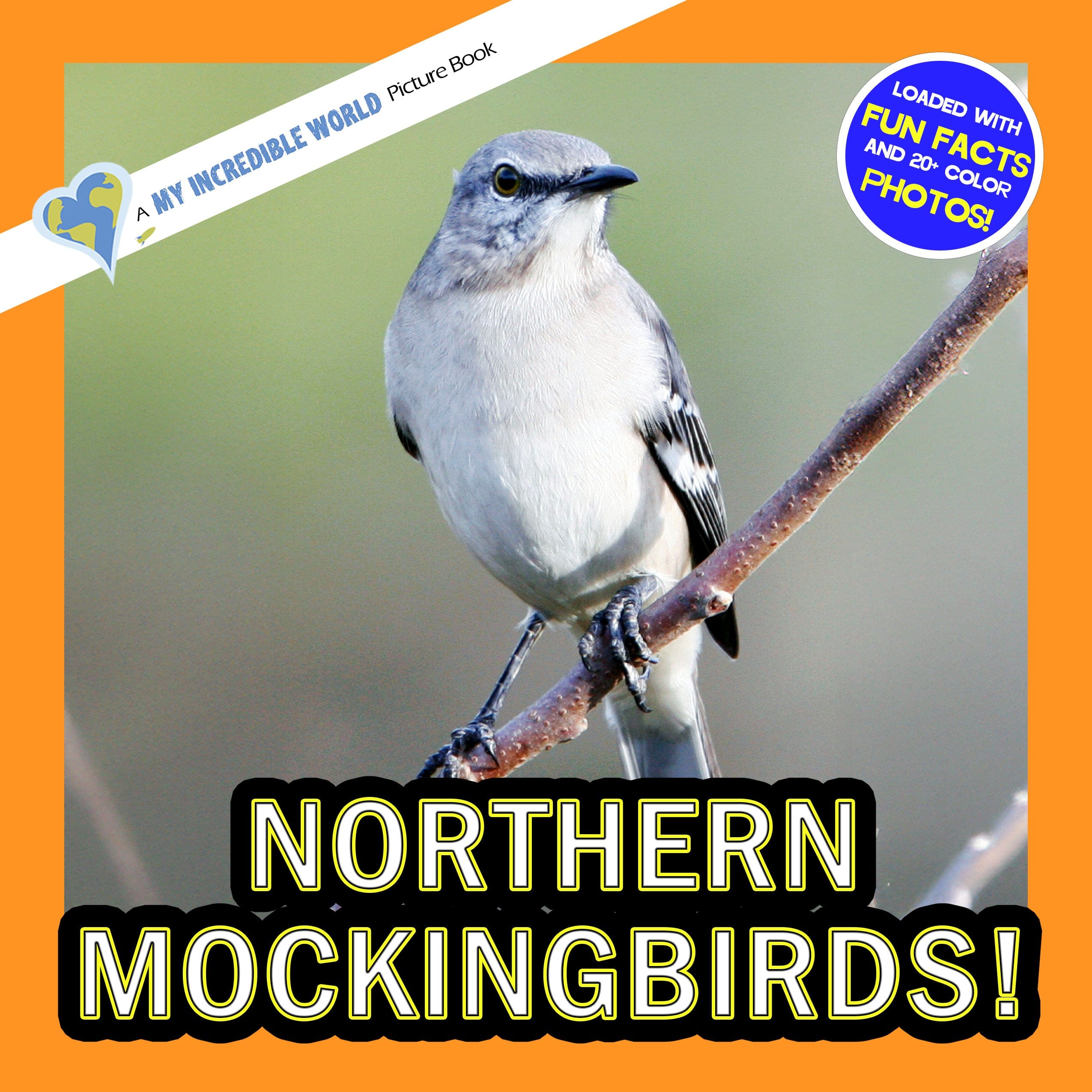 Northern Mockingbirds! A My Incredible World Picture Book for Children