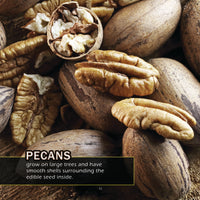 Nuts! A My Incredible World Picture Book for Children