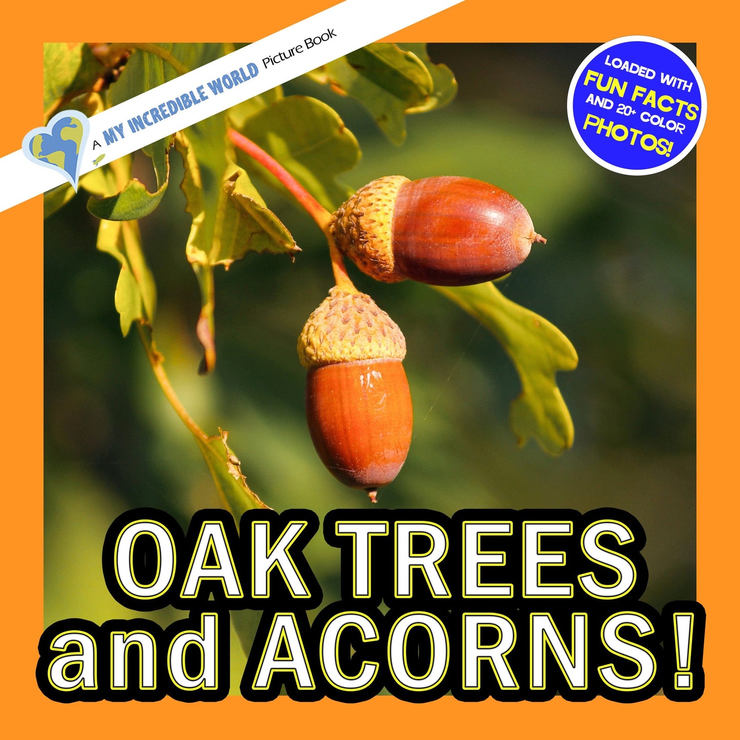 Oak Trees and Acorns! A My Incredible World Picture Book for Children