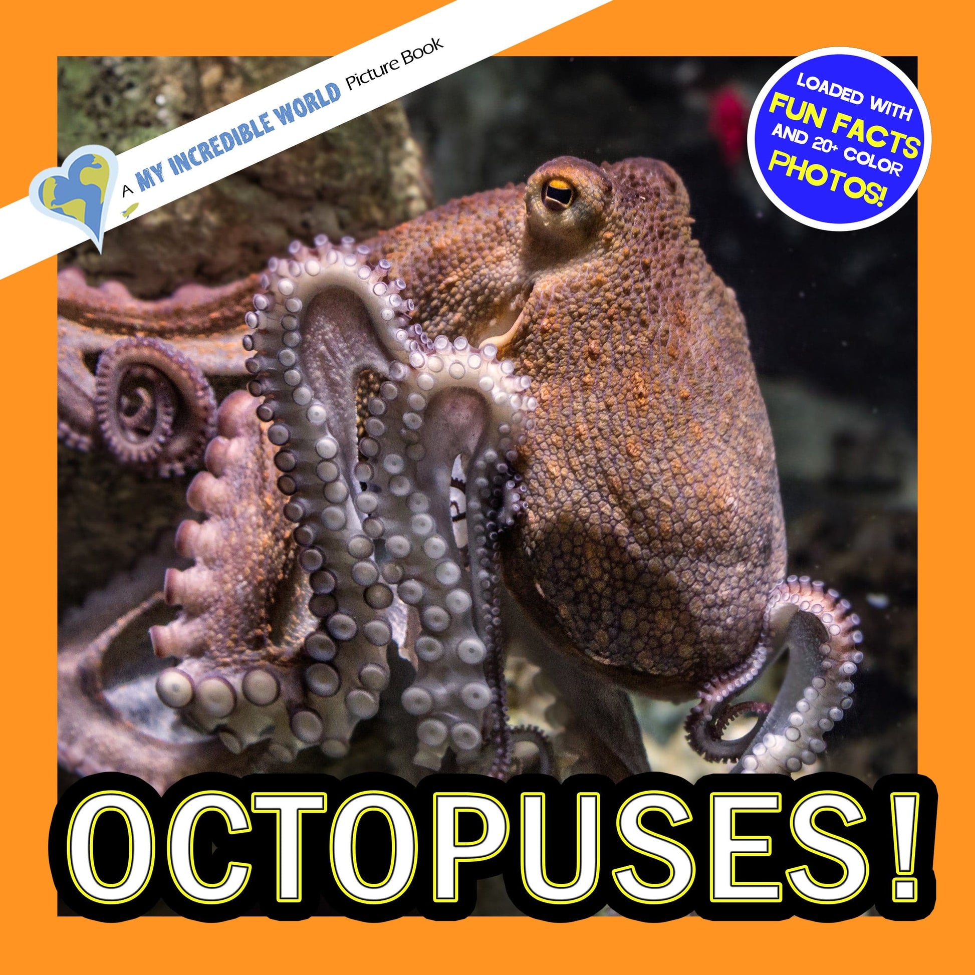 Octopuses! A My Incredible World Picture Book for Children