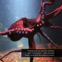 Octopuses! A My Incredible World Picture Book for Children