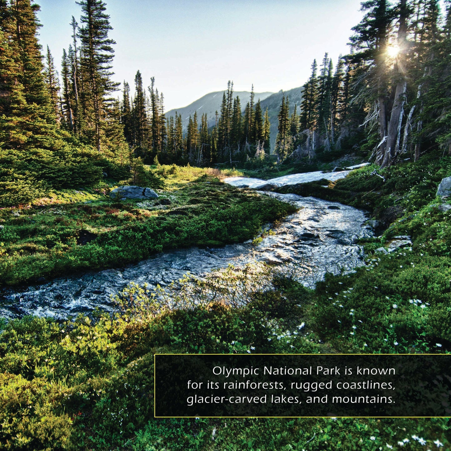 Olympic National Park! A My Incredible World Picture Book for Children
