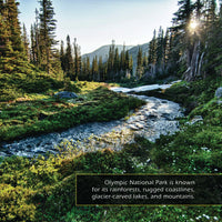 Olympic National Park! A My Incredible World Picture Book for Children