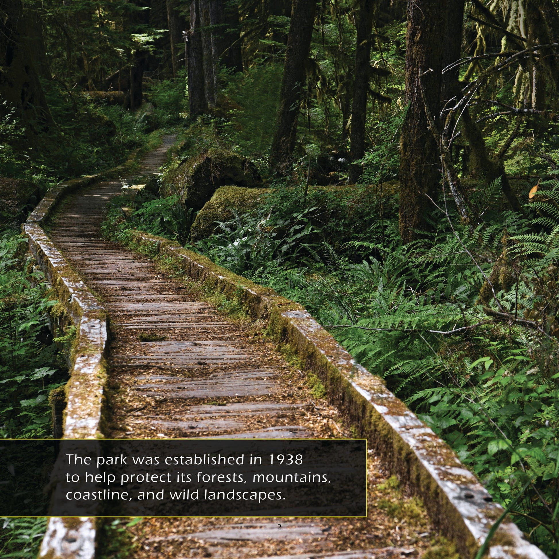 Olympic National Park! A My Incredible World Picture Book for Children