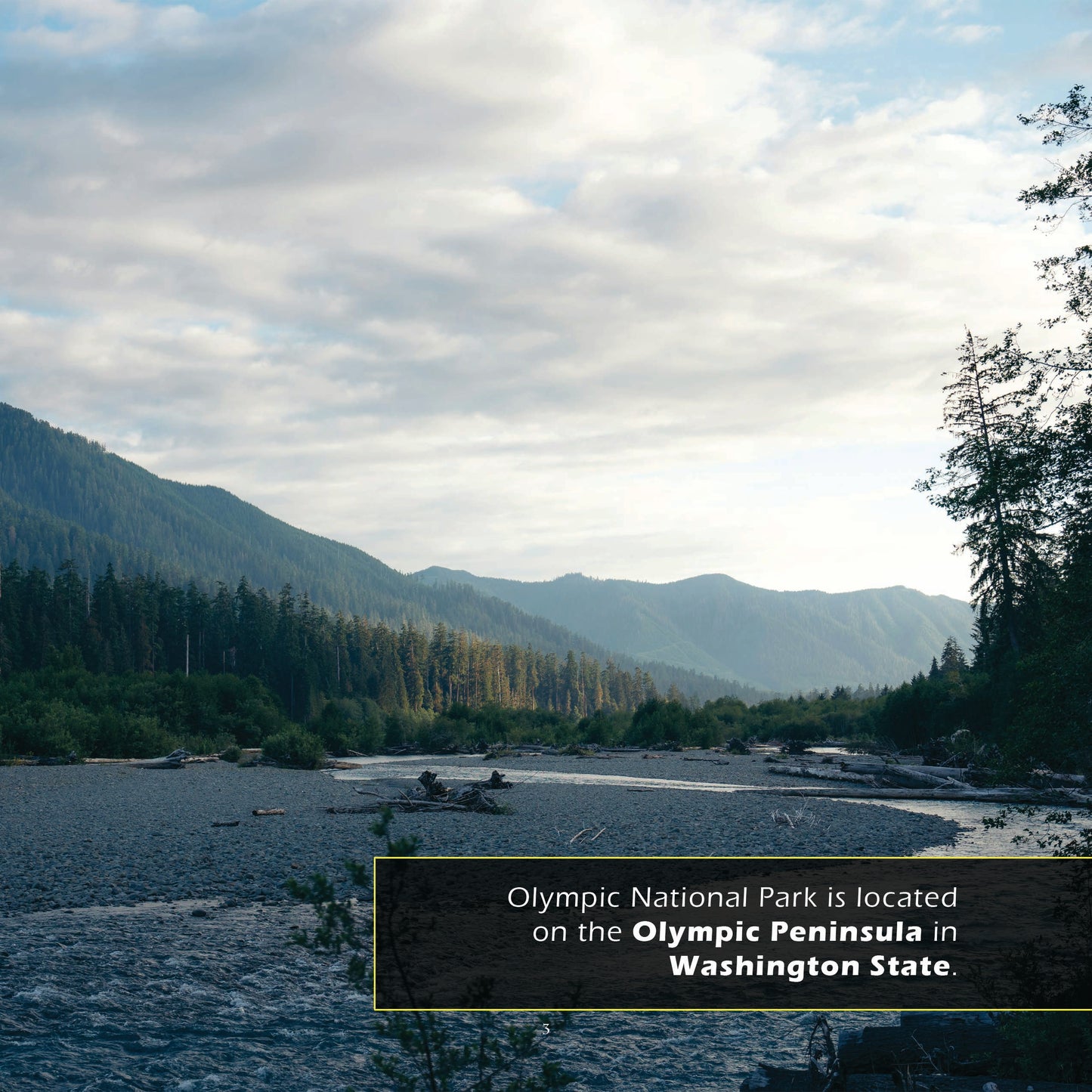 Olympic National Park! A My Incredible World Picture Book for Children