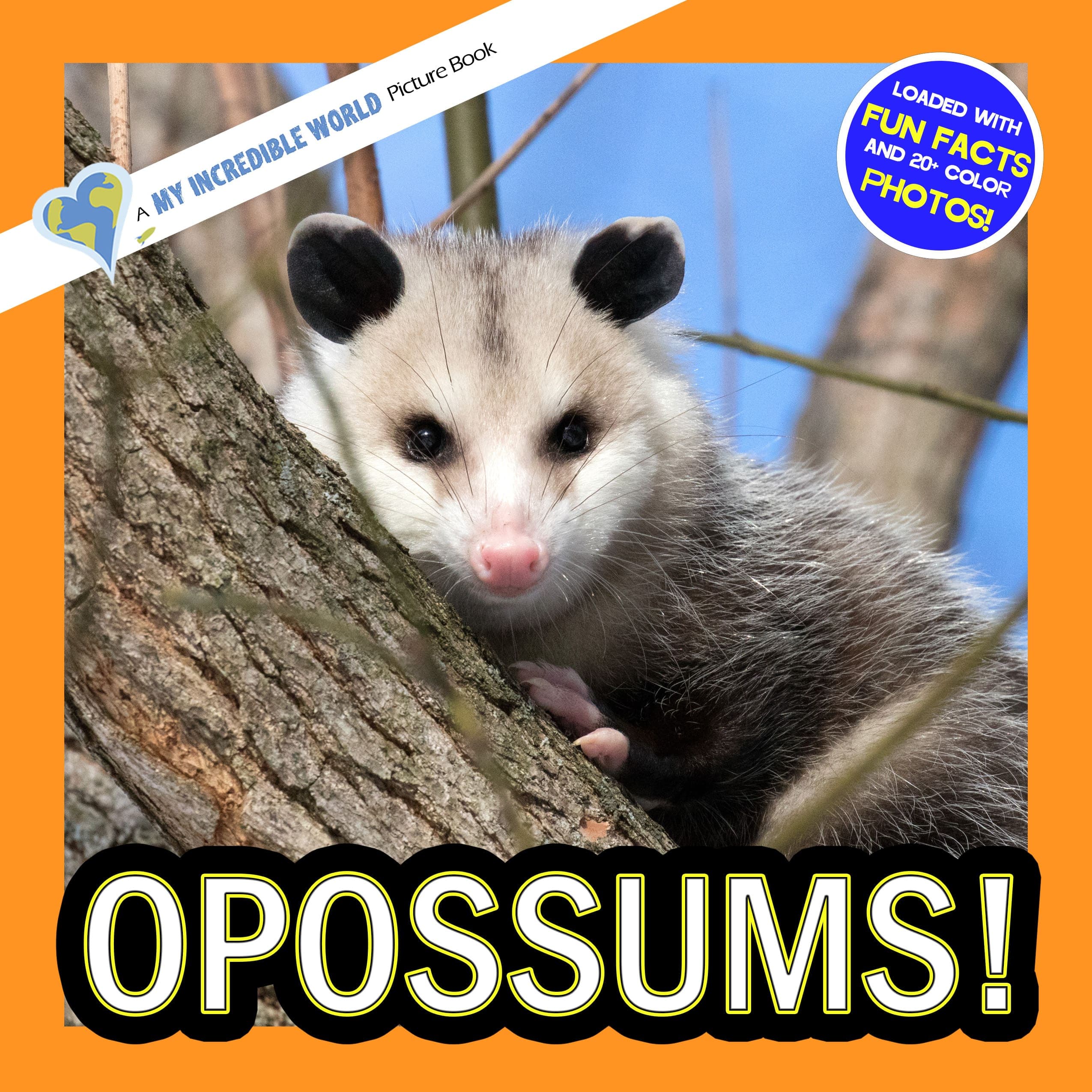 Opossums! A My Incredible World Picture Book for Children