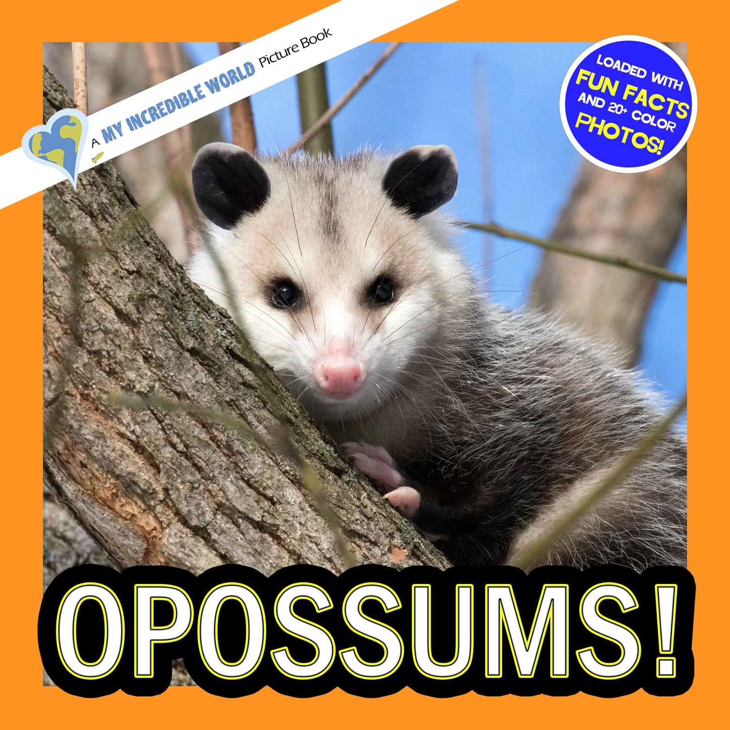 Opossums! A My Incredible World Picture Book for Children