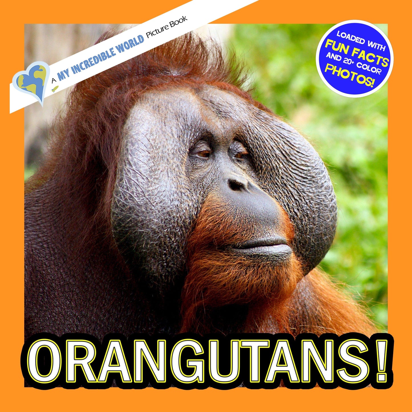 Orangutans! A My Incredible World Picture Book for Children