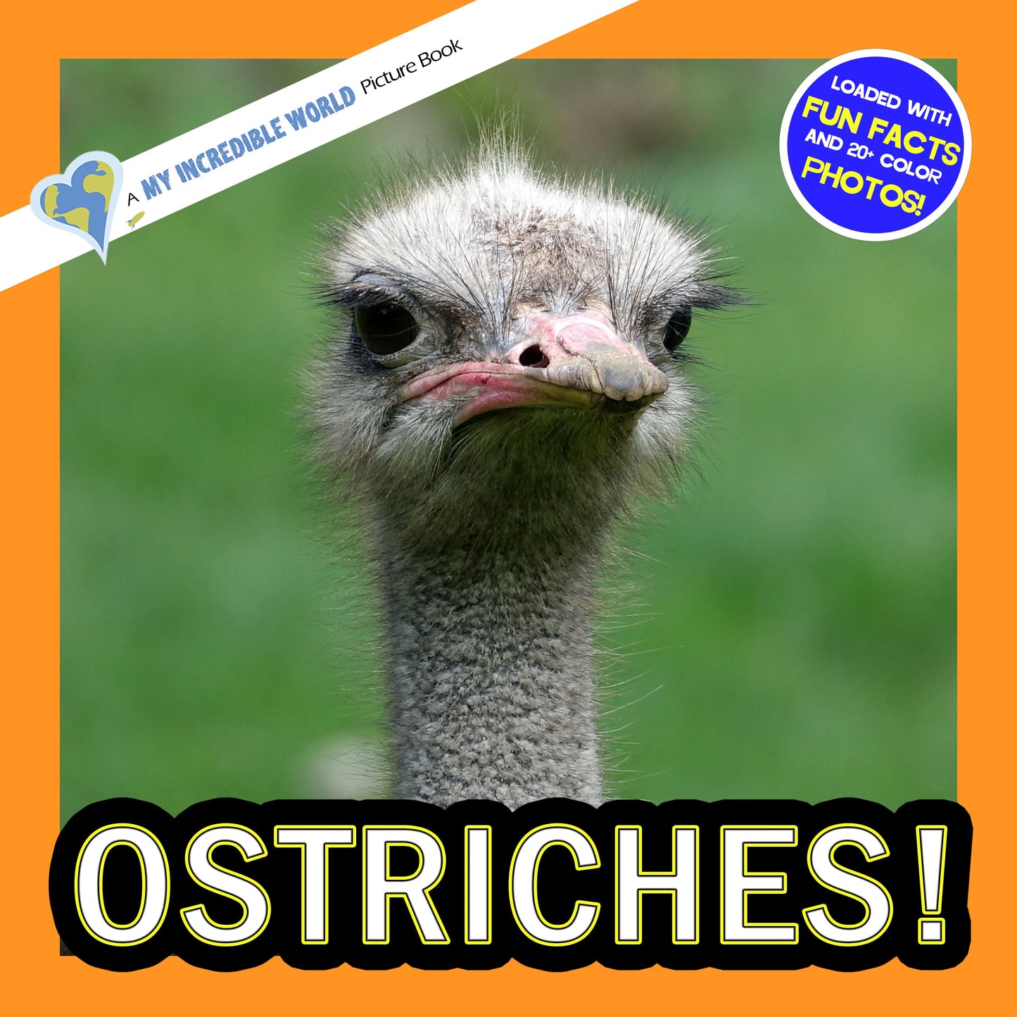 Ostriches! A My Incredible World Picture Book for Children