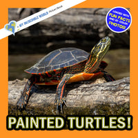 Painted Turtles! A My Incredible World Picture Book for Children