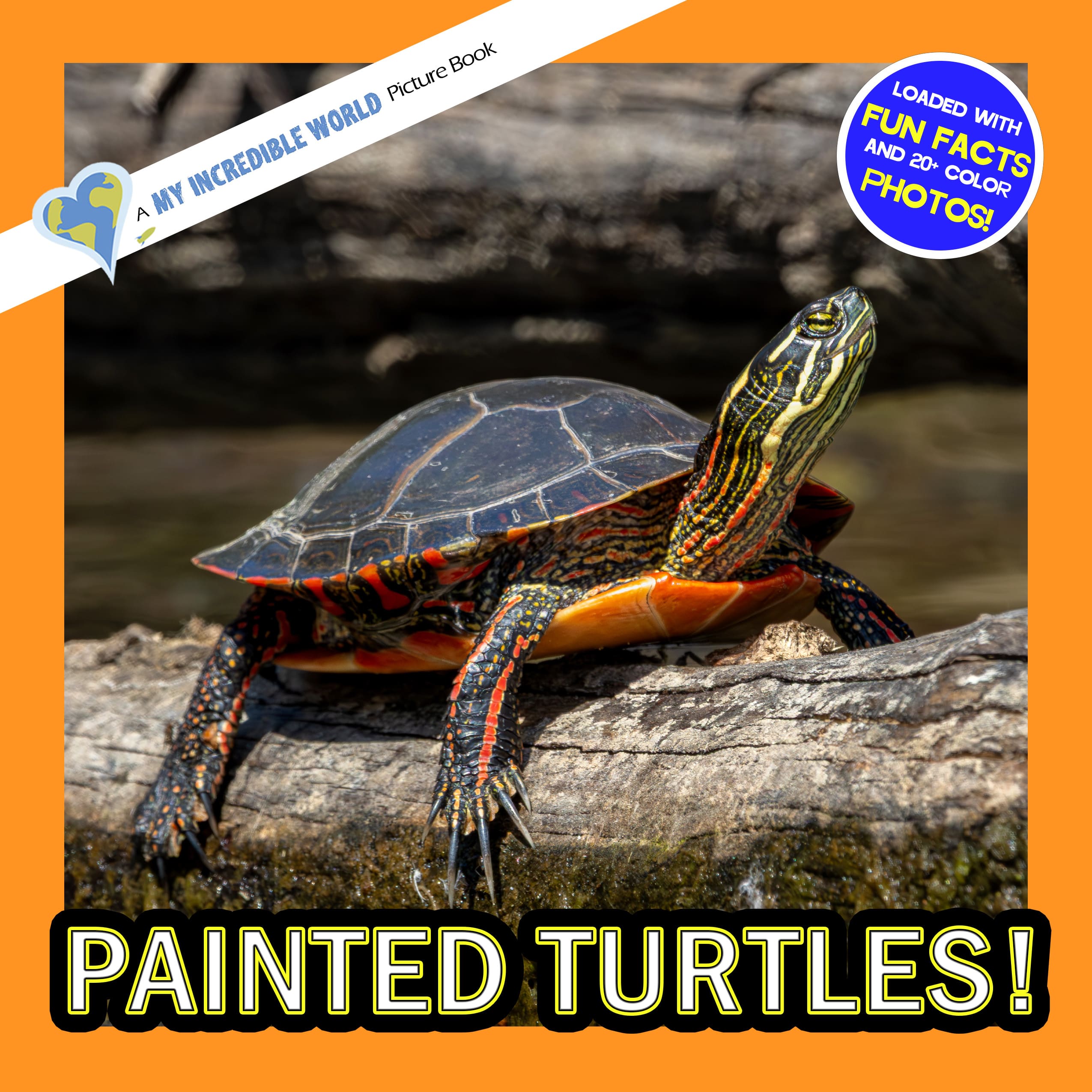 Painted Turtles! A My Incredible World Picture Book for Children