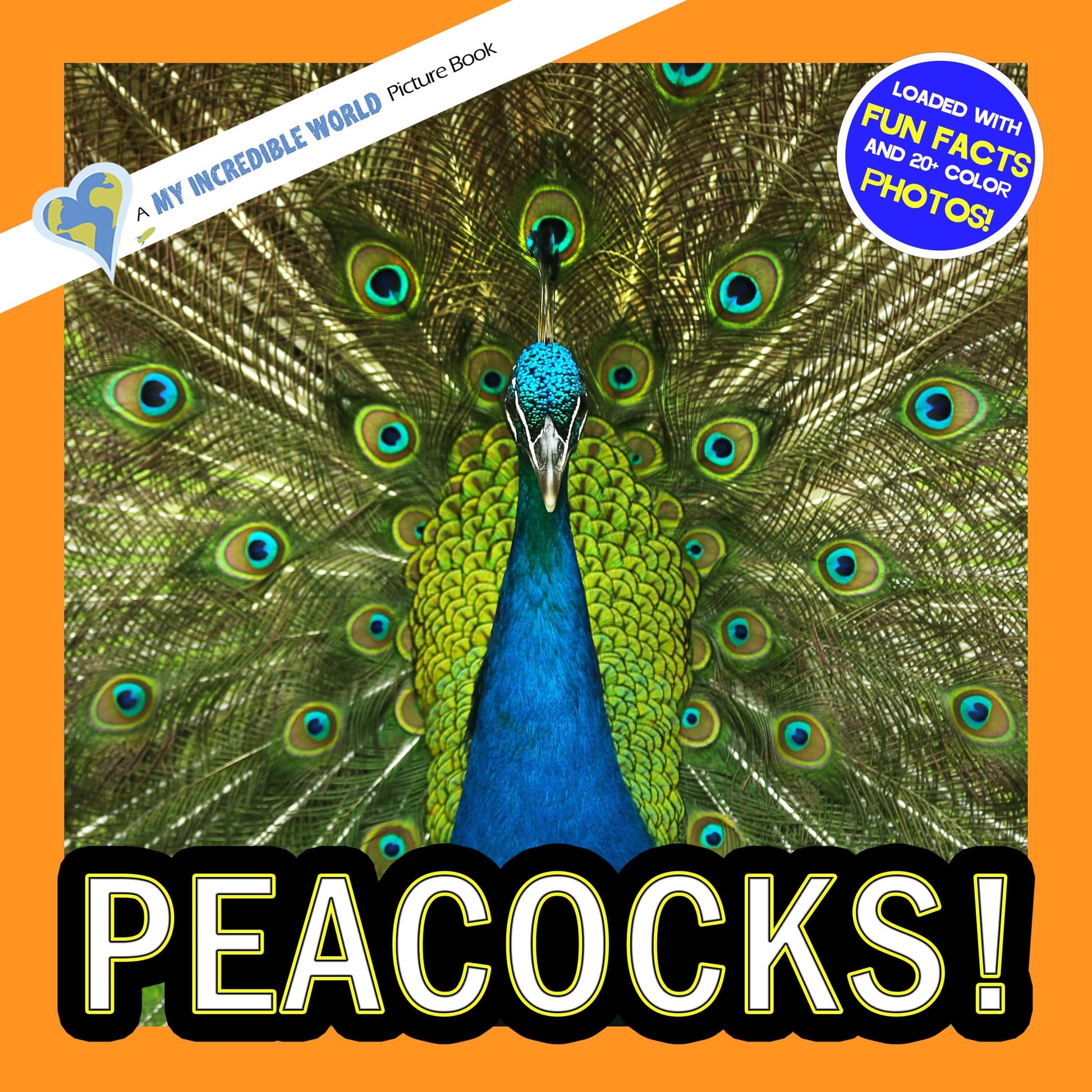 Peacocks! A My Incredible World Picture Book for Children