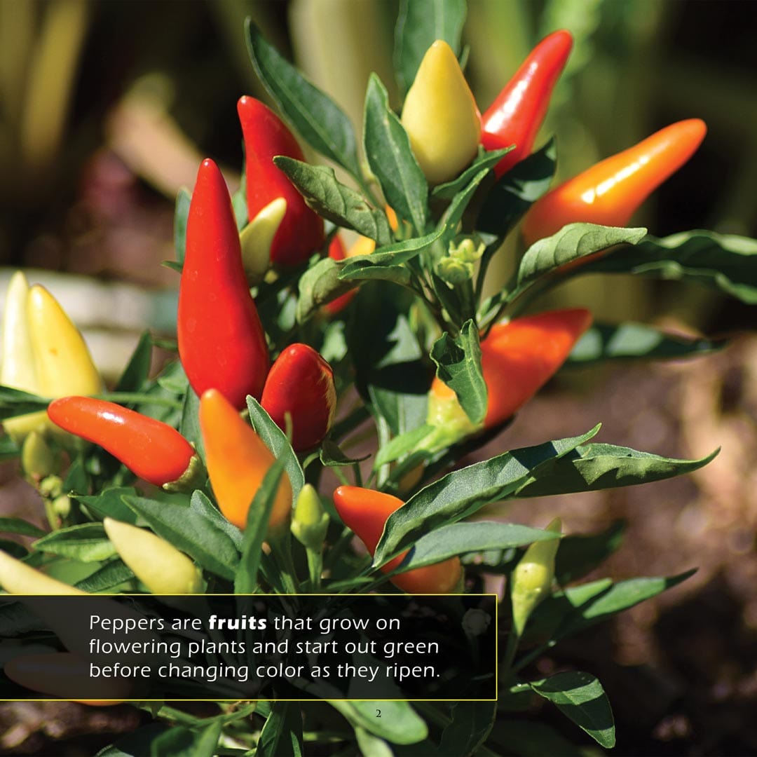 Peppers! A My Incredible World Picture Book for Children
