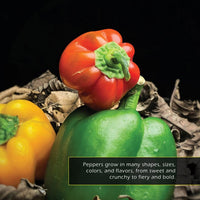 Peppers! A My Incredible World Picture Book for Children