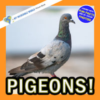 Pigeons! A My Incredible World Picture Book For Children