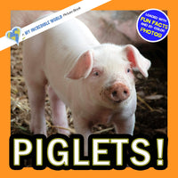 Piglets! A My Incredible World Picture Book for Children