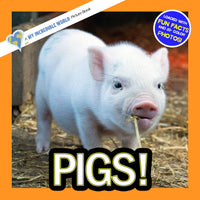 Pigs! A My Incredible World Picture Book for Children