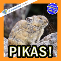 Pikas! A My Incredible World Picture Book for Children