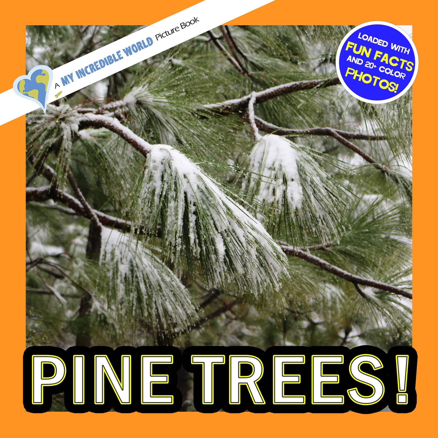 Pine Trees! A My Incredible World Picture Book for Children