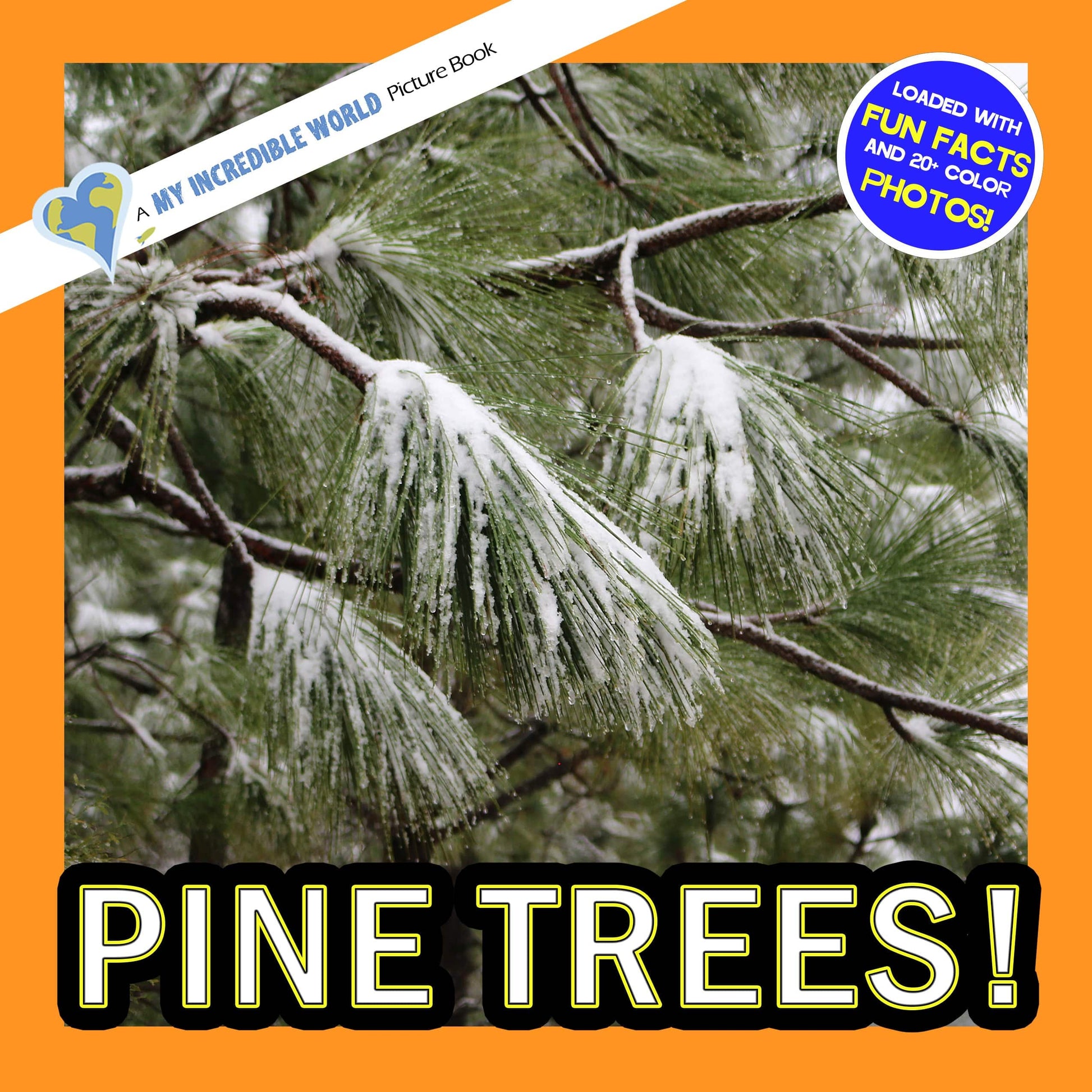 Pine Trees! A My Incredible World Picture Book for Children