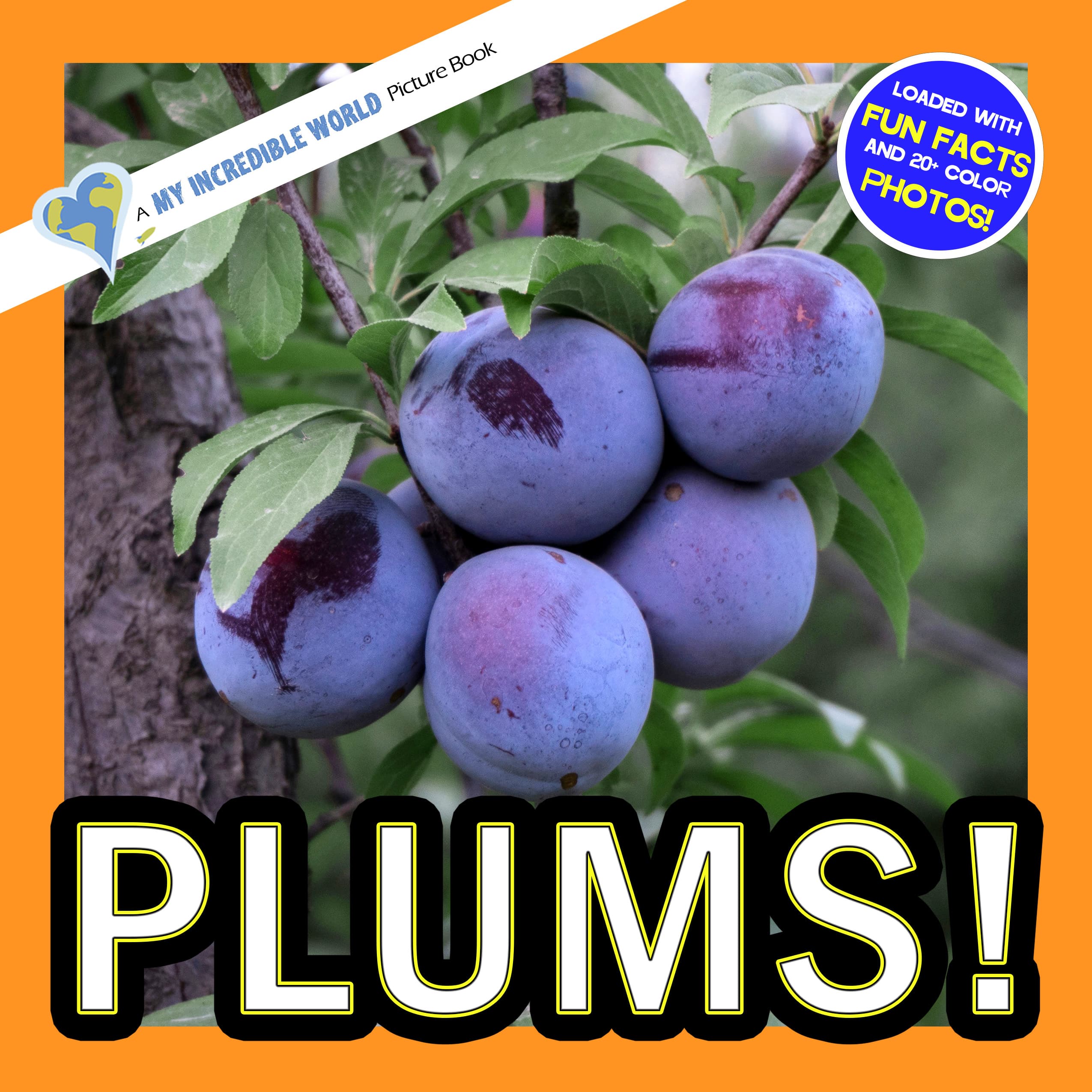 Plums! A My Incredible World Picture Book for Children