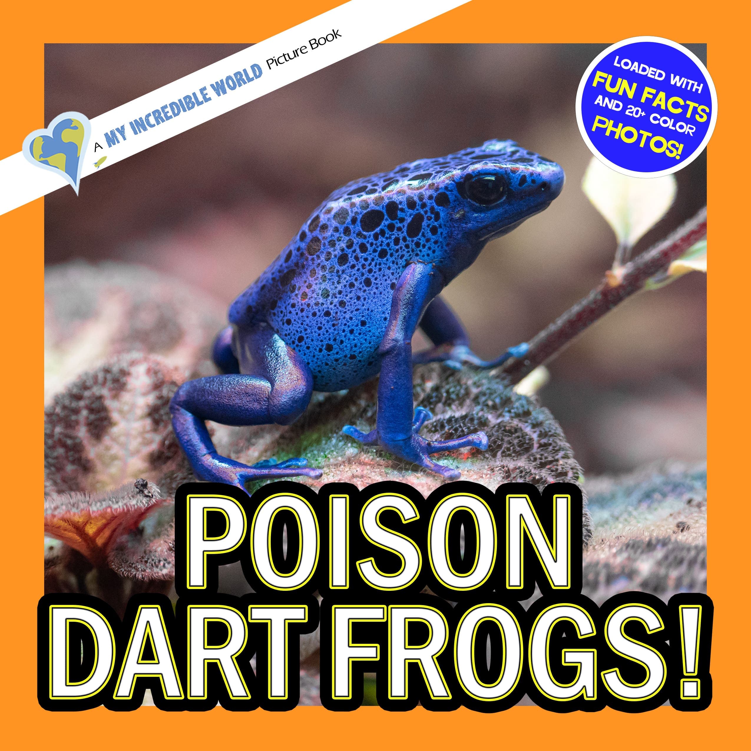 Poison Dart Frogs! A My Incredible World Picture Book for Children