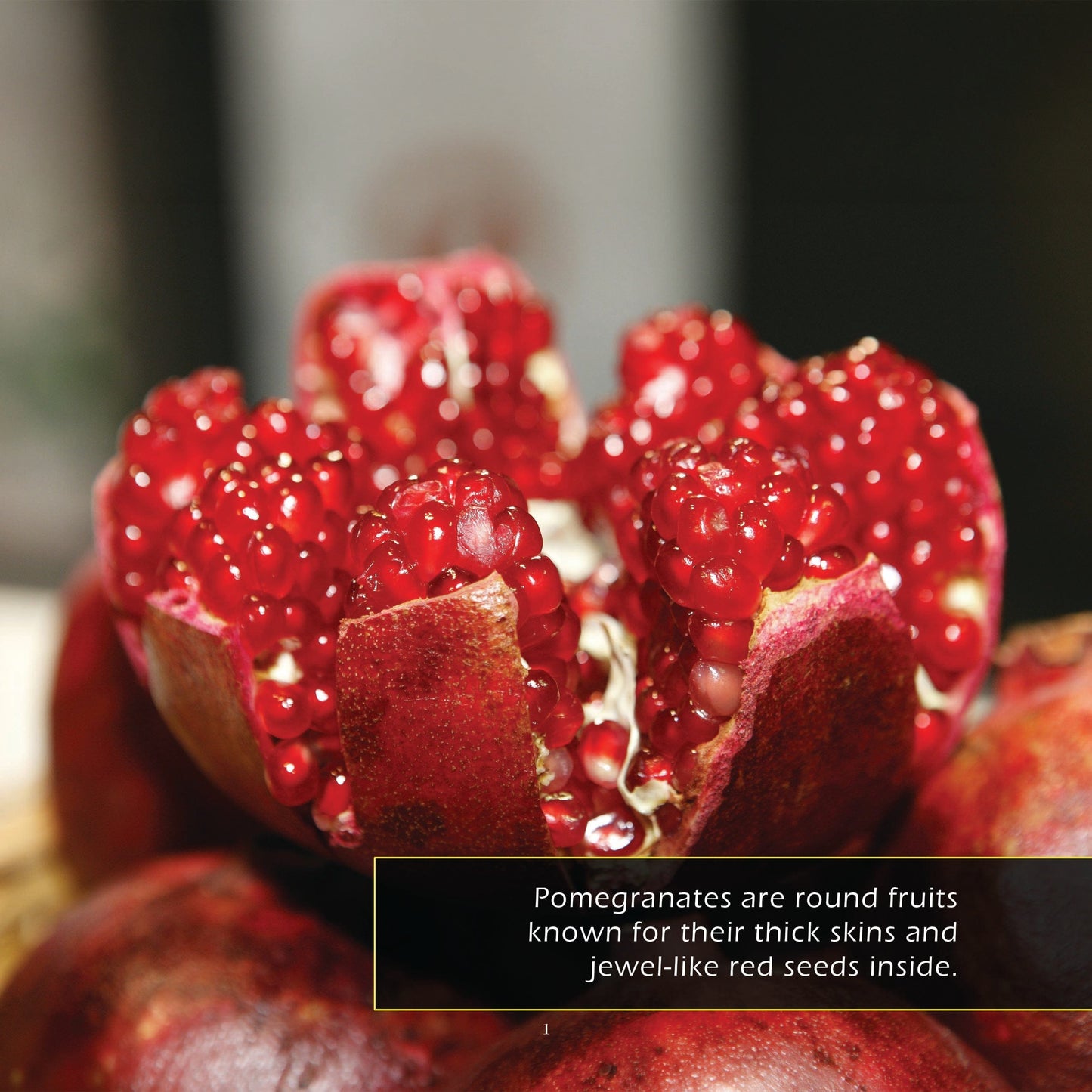 Pomegranates! A My Incredible World Picture Book for Children