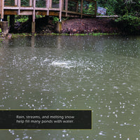 Ponds! A My Incredible World Picture Book for Children