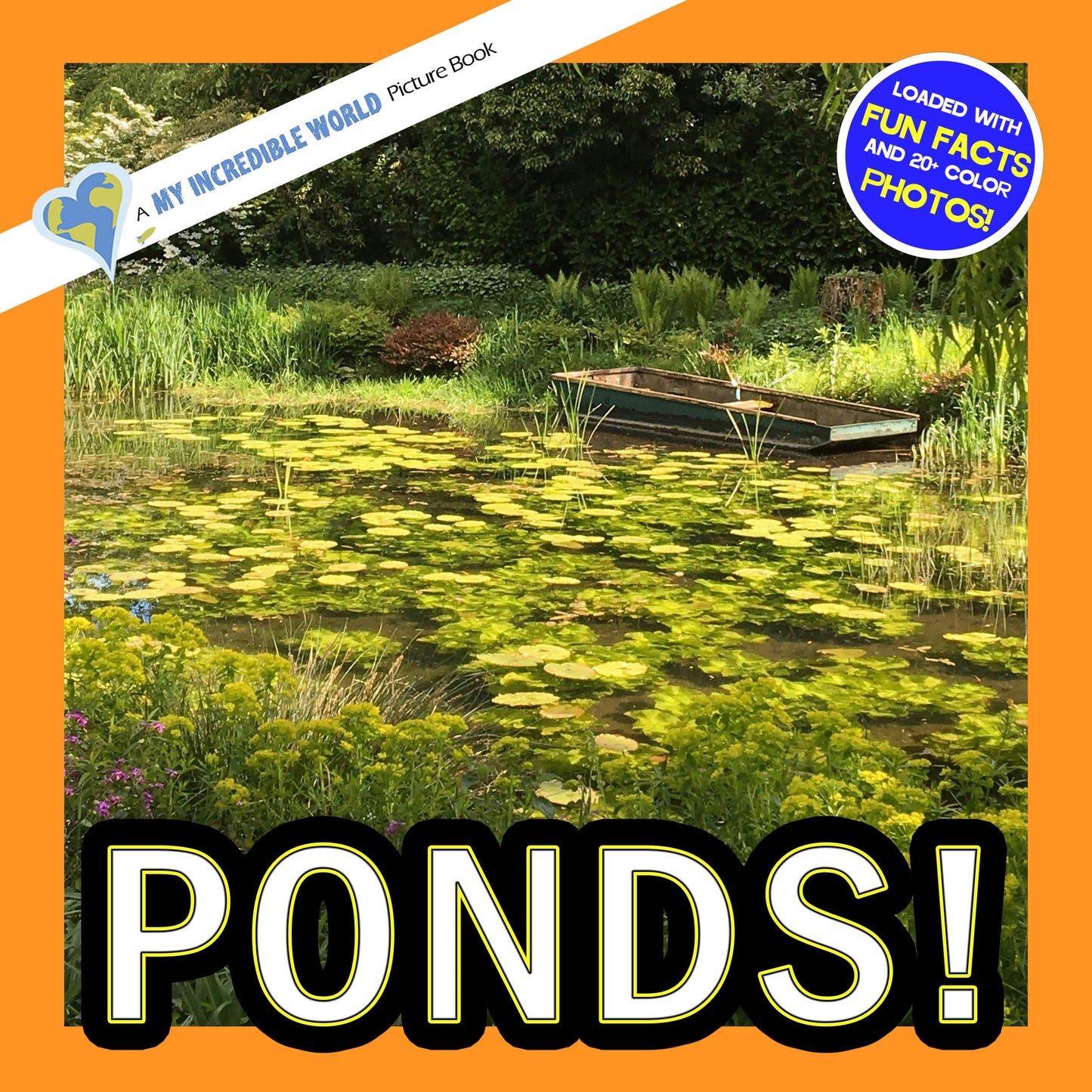Ponds! A My Incredible World Picture Book for Children