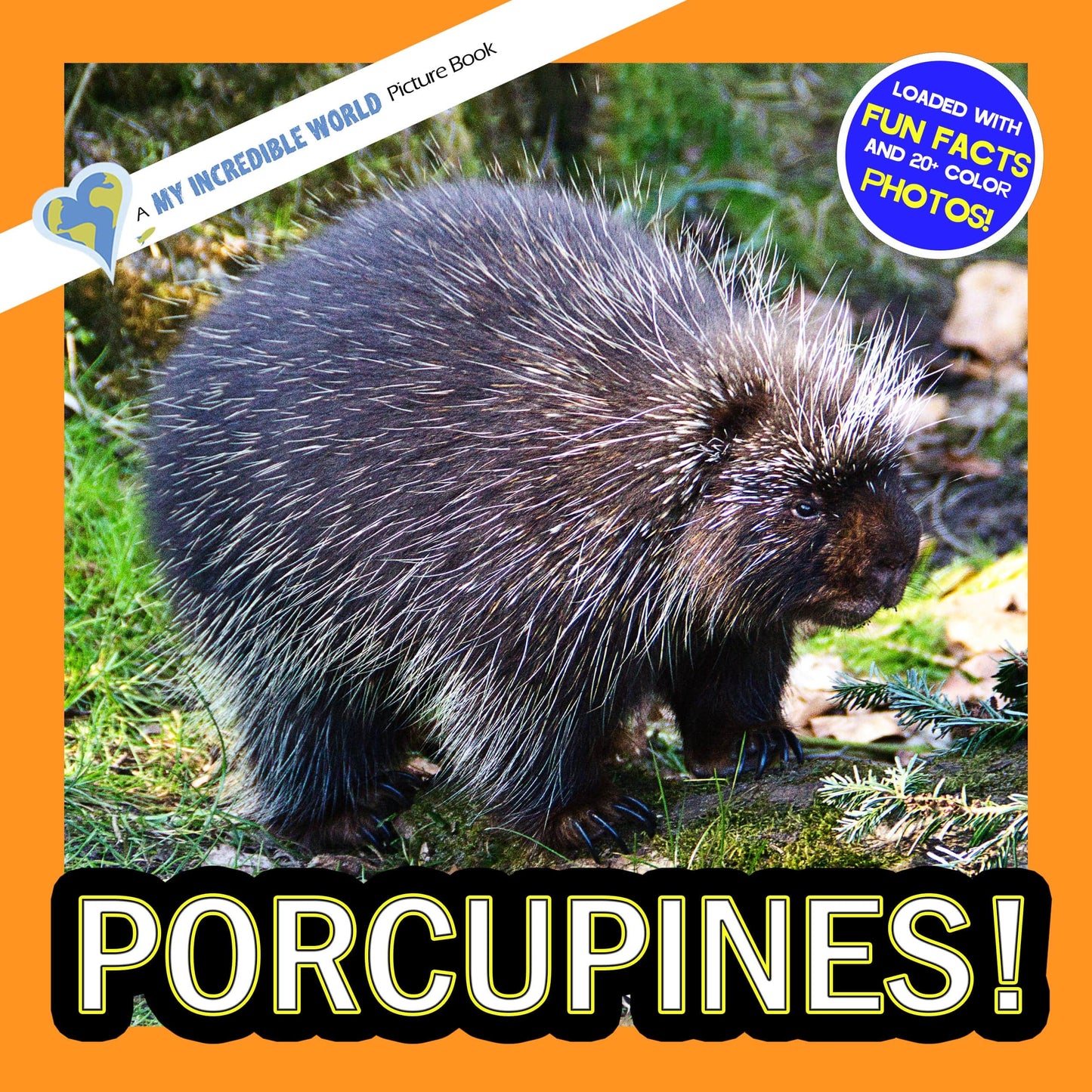 Porcupines! A My Incredible World Picture Book for Children