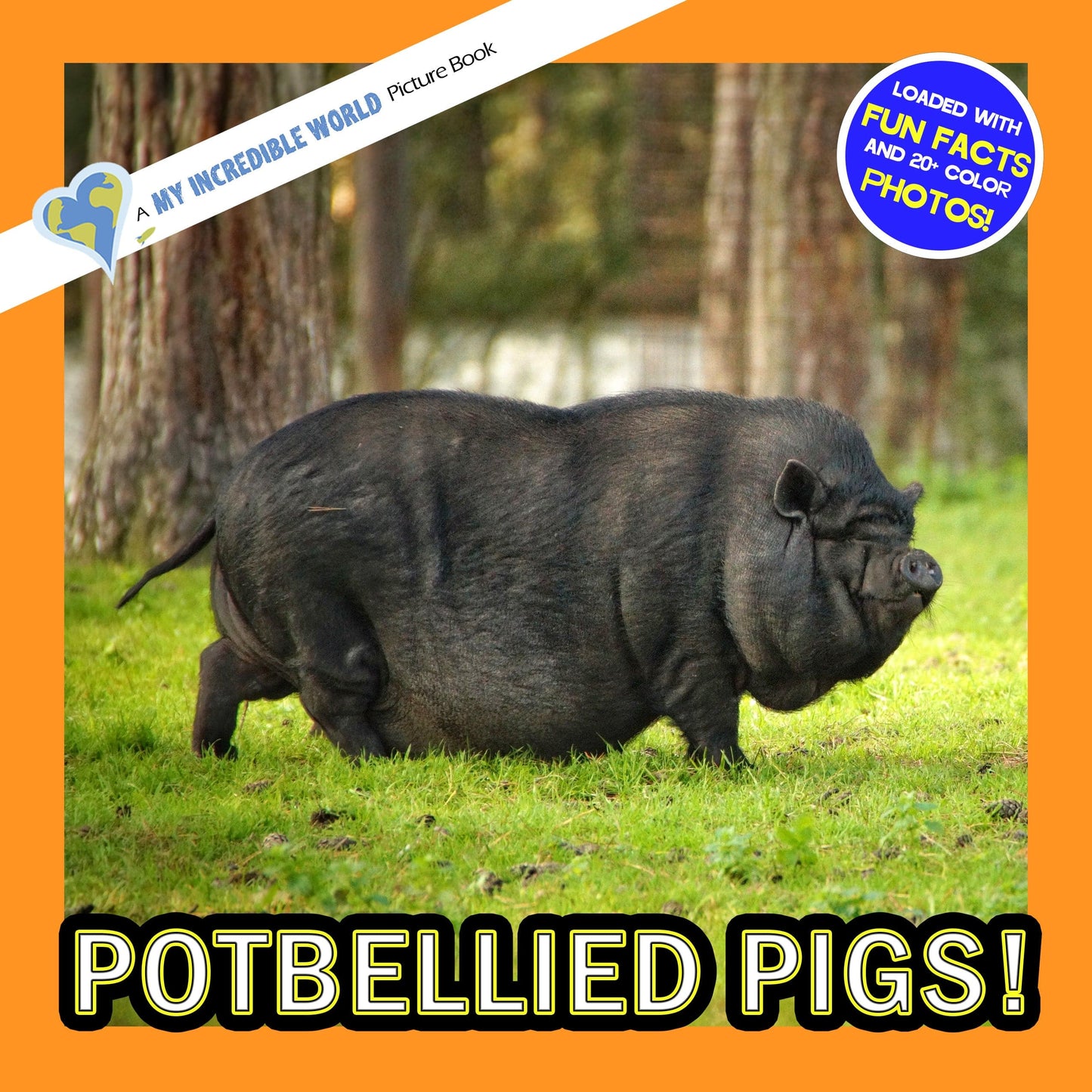 Potbellied Pigs! A My Incredible World Picture Book for Children