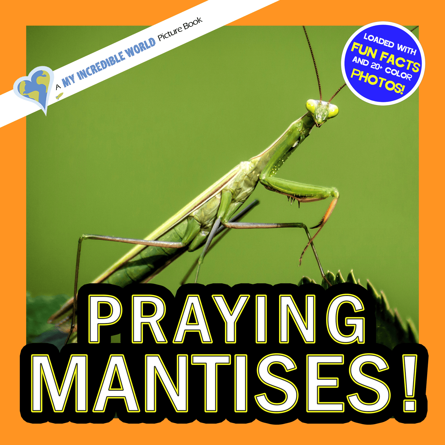 Praying Mantises! A My Incredible World Picture Book for Children