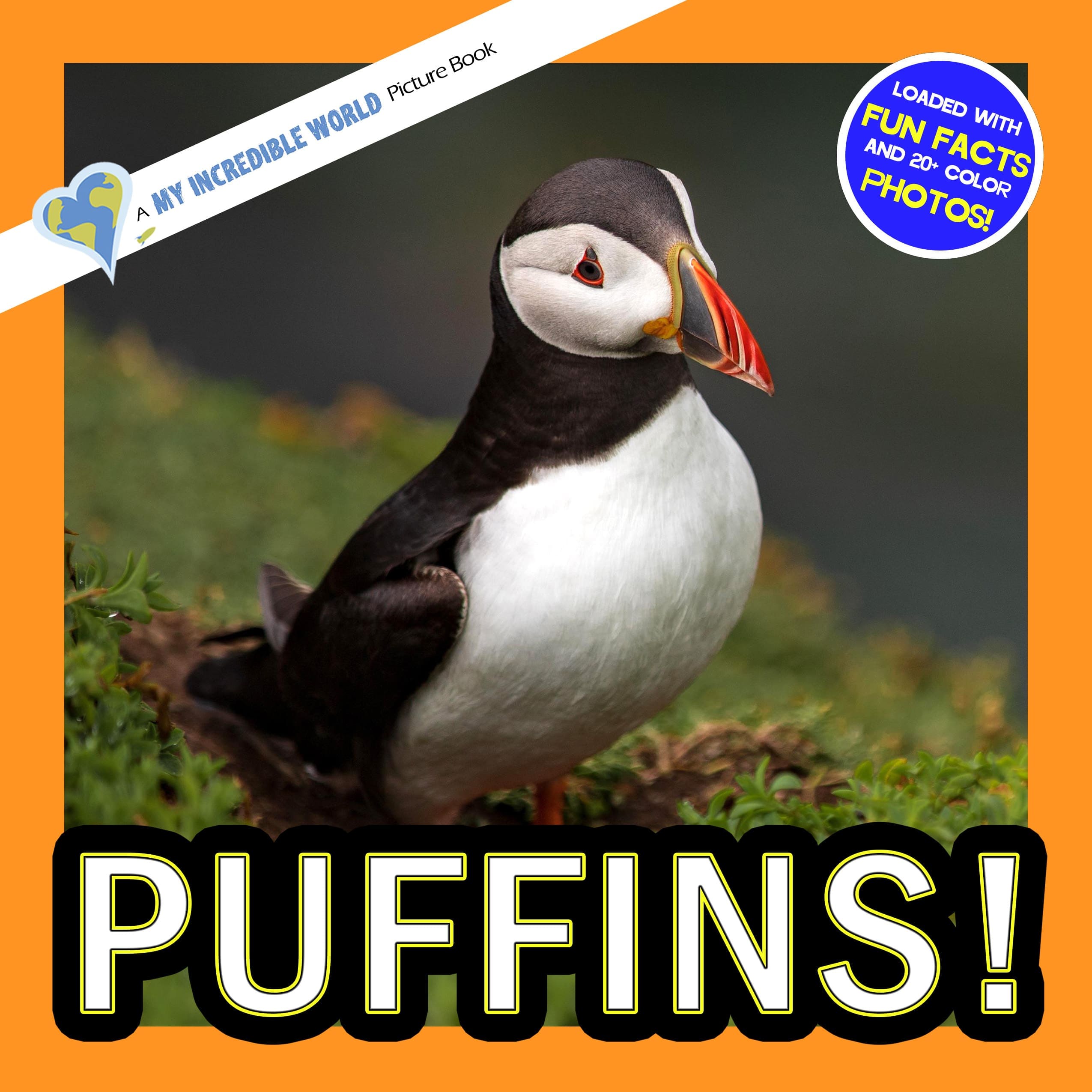 Puffins! A My Incredible World Picture Book for Children