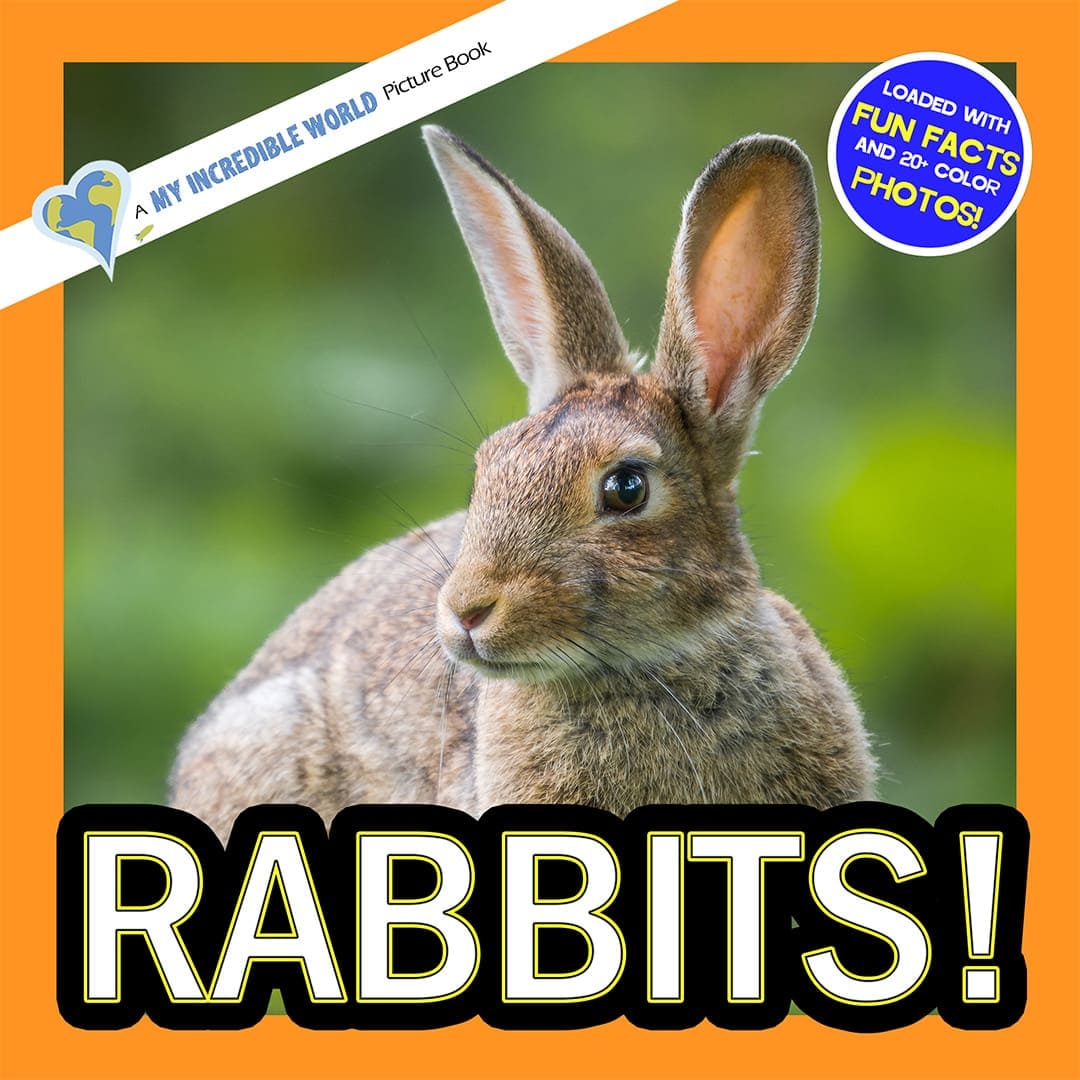 Rabbits! A My Incredible World Picture Book for Children