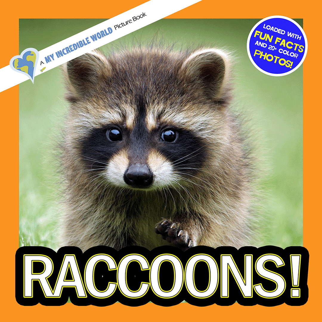 Raccoons! A My Incredible World Picture Book for Children