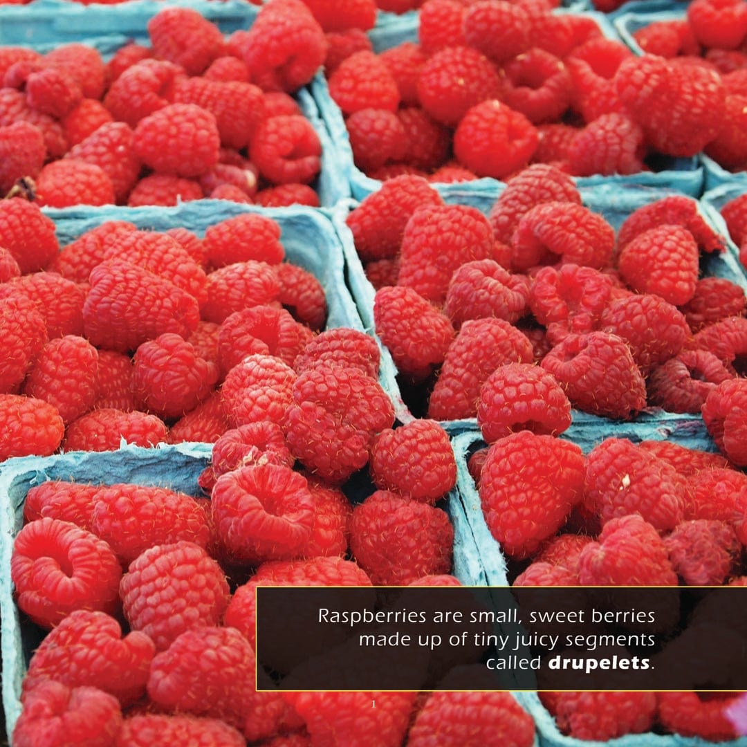 Oh That's Raspberry Raspberries Book for Kids | Sweet Berries & Growth β My Incredible World