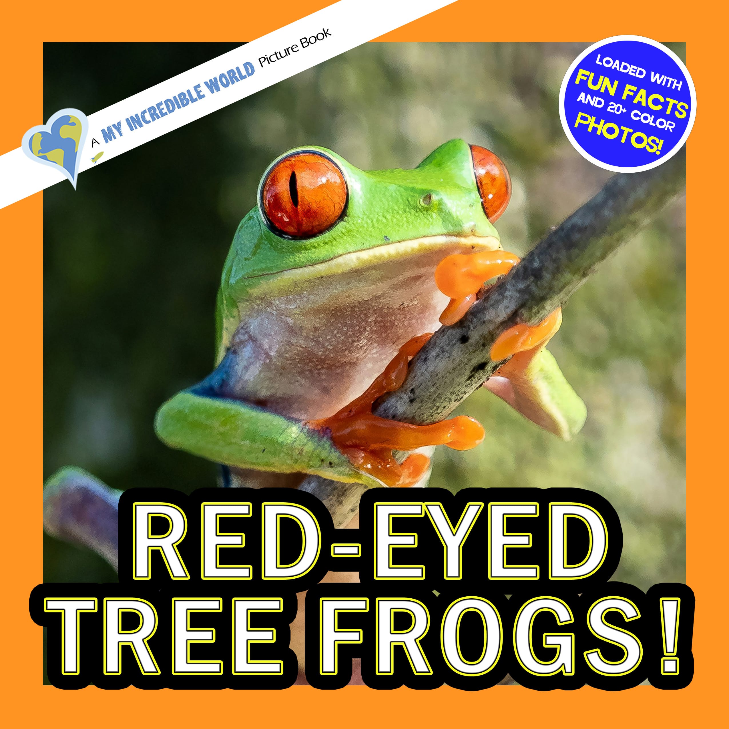 Red-Eyed Tree Frogs! A My Incredible World Picture Book for Children