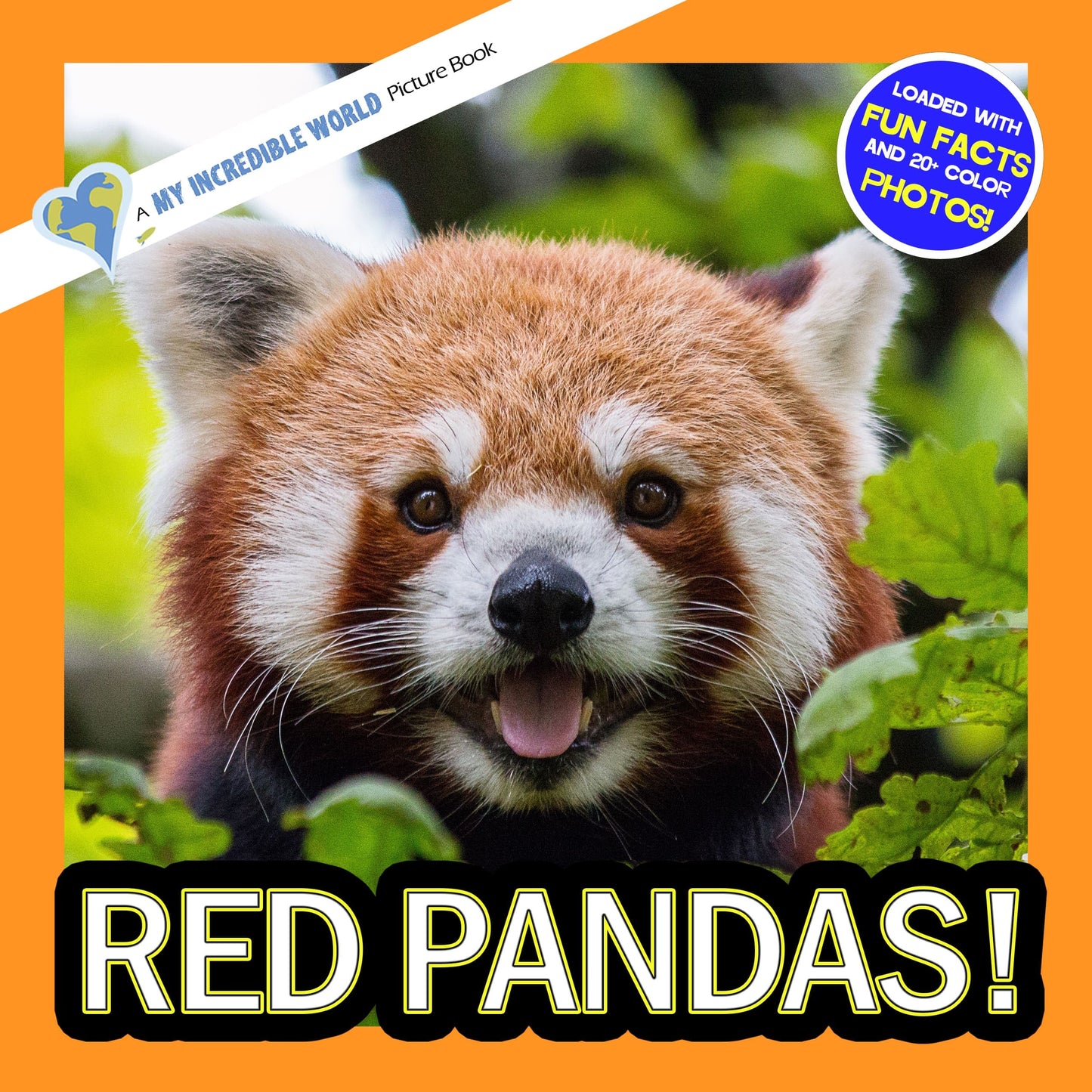 Red Pandas! A My Incredible World Picture Book for Children