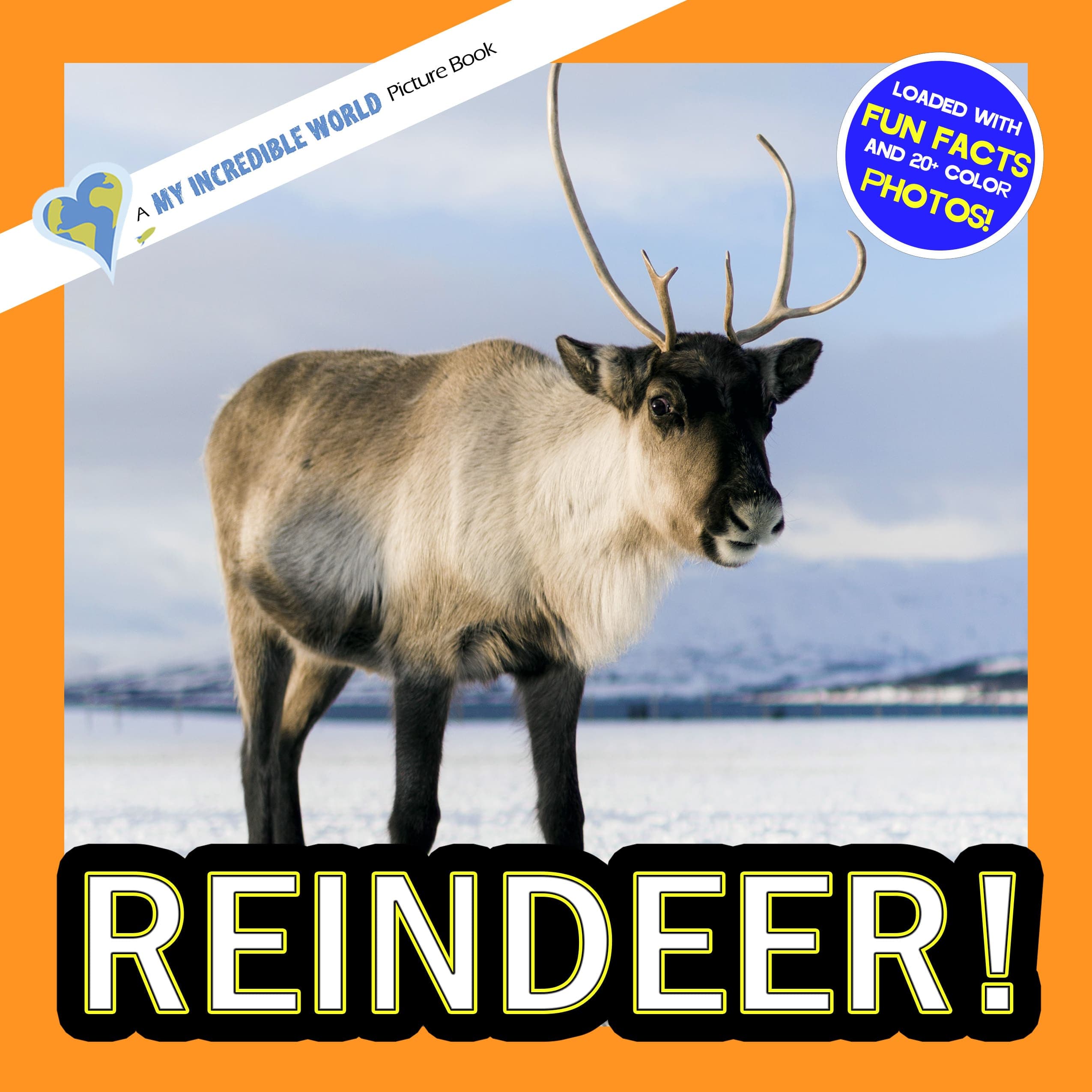 Reindeer! A My Incredible World Picture Book for Children