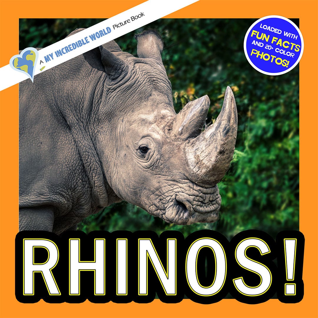 Rhinos! A My Incredible World Picture Book for Children